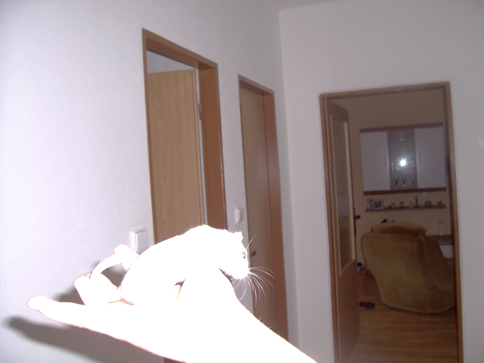 focení se s DEYSI 018