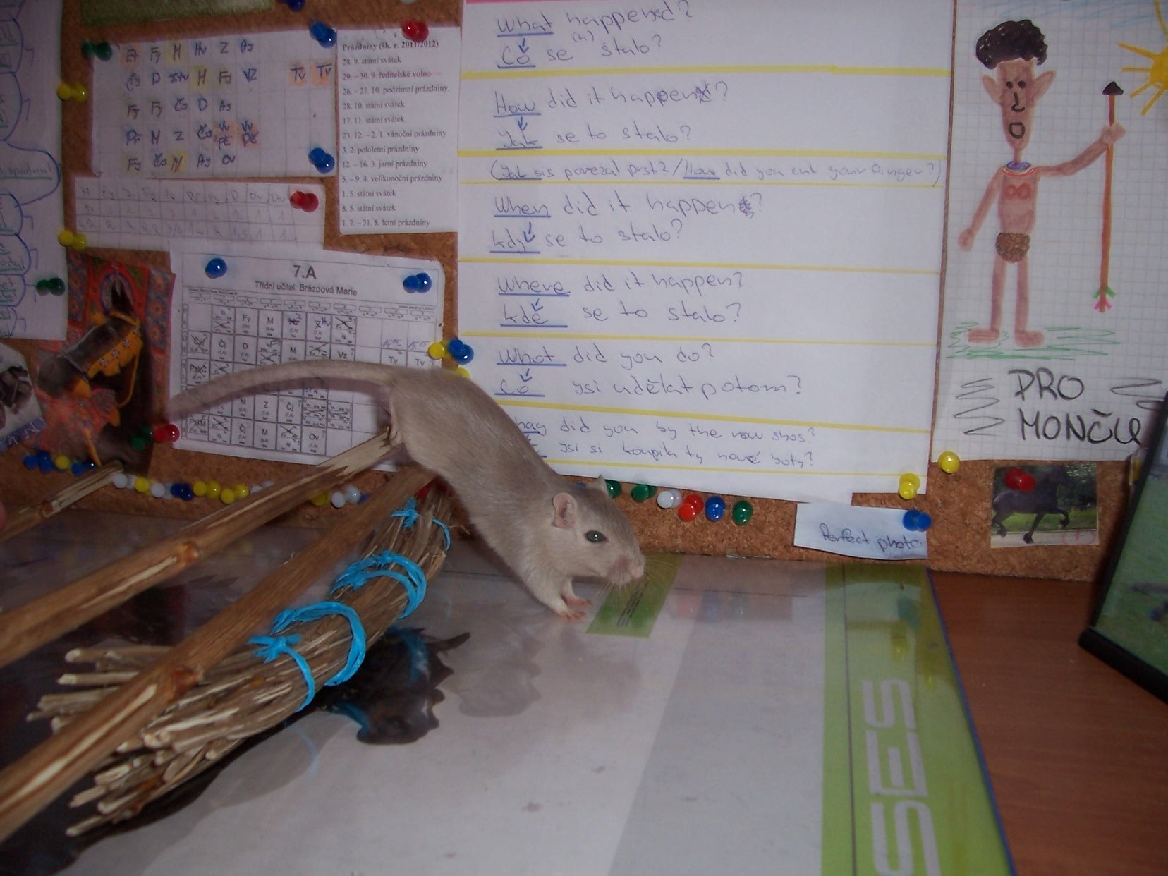 focení se s DEYSI 088